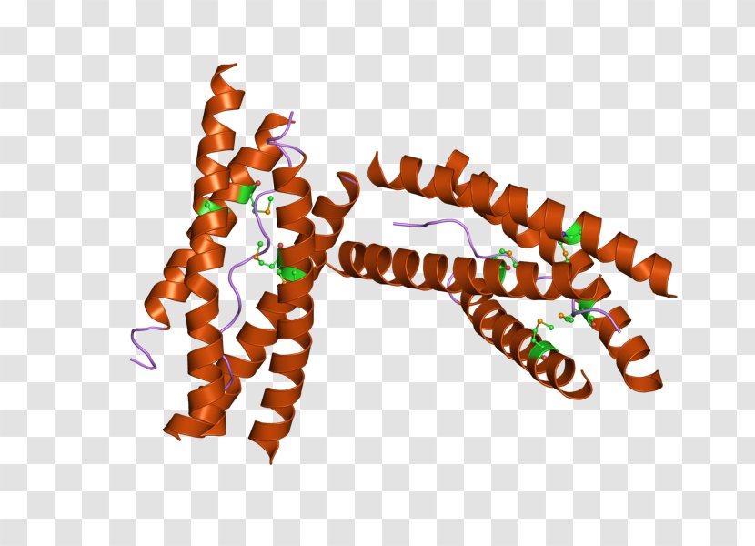 Acetylcholinesterase Neurotransmitter Enzyme - Amyloid - Alzheimers Disease Transparent PNG