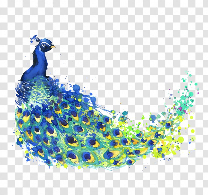 The Peacock Feather Peafowl Drawing Watercolor Painting Illustration - Stock Photography Transparent PNG