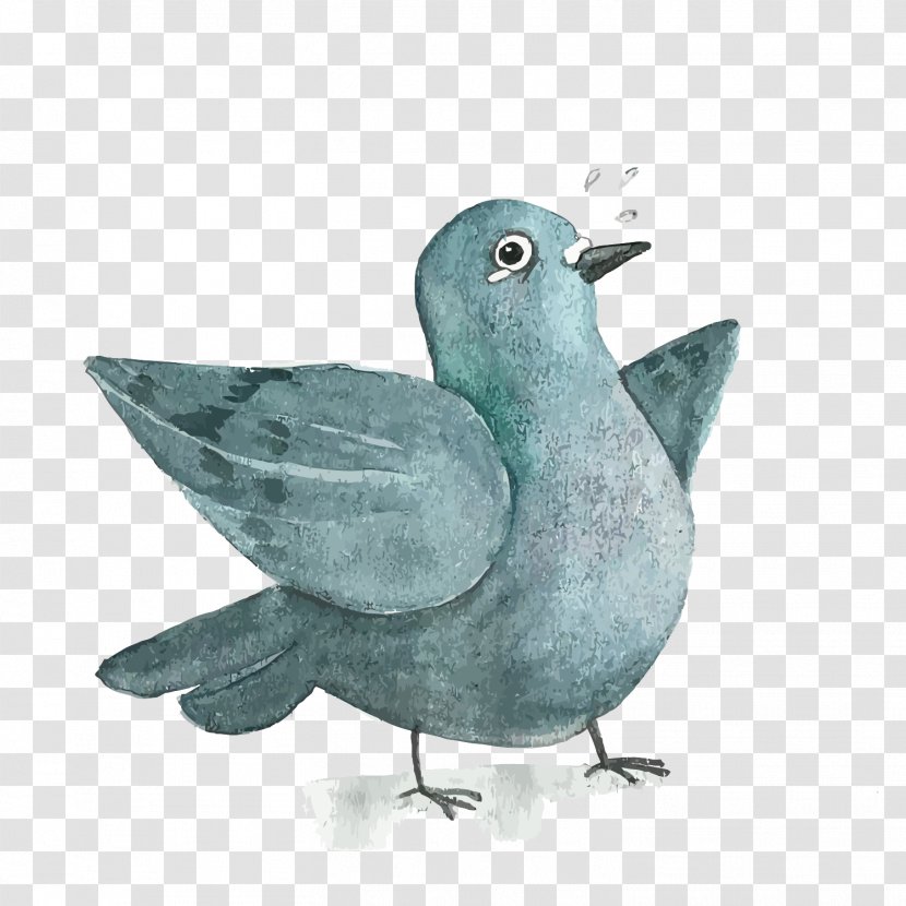 Blue - Feather - Pigeons Transparent PNG