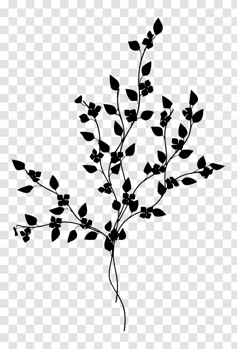 Twig Plant Stem Leaf Font Line - Tree Transparent PNG