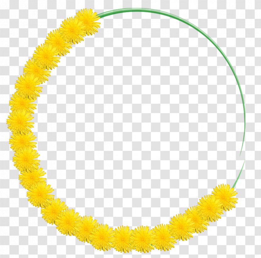 Body Jewellery Amber Circle - Pearls Transparent PNG