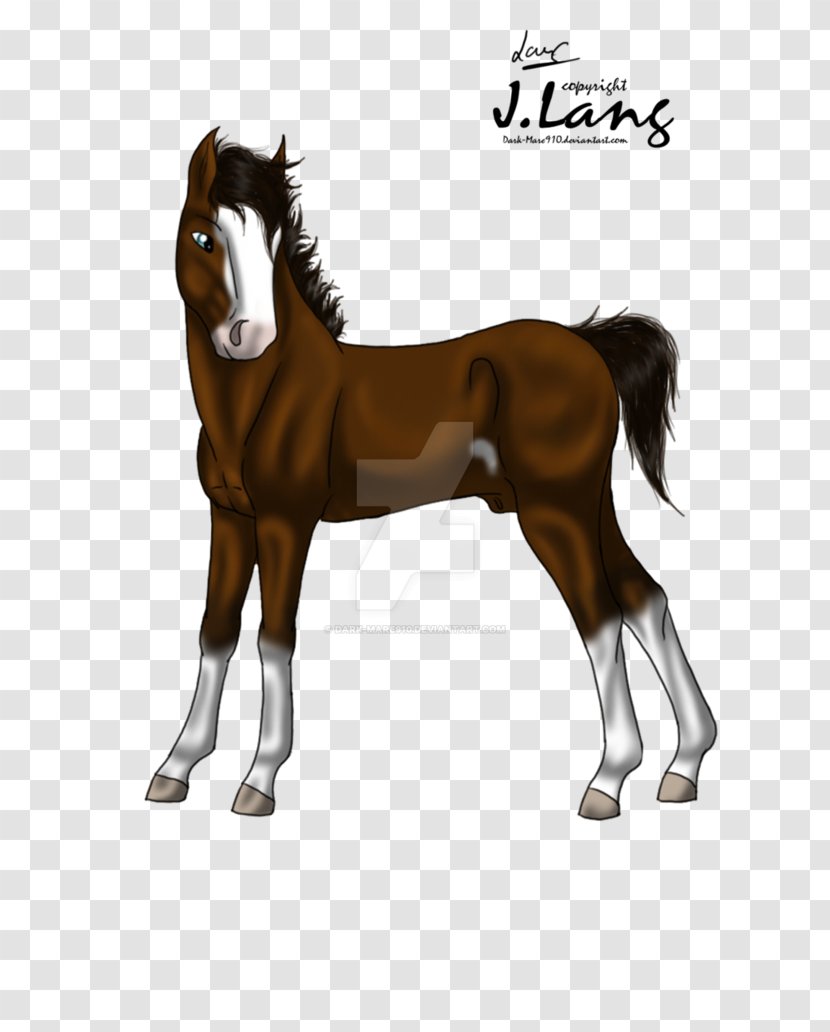 Stallion Foal Halter Mare Colt - Sorrel - Mustang Transparent PNG