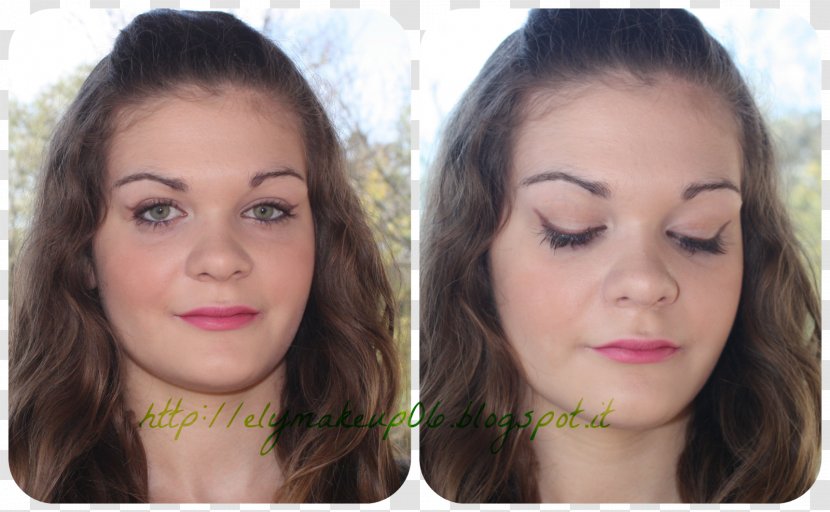 Eyelash Hair Coloring Eye Shadow Eyebrow Liner - Tree - Lipstick Transparent PNG