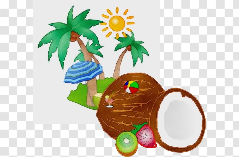 Coconut Tree Drawing - Leaf - Fruit Palm Transparent PNG