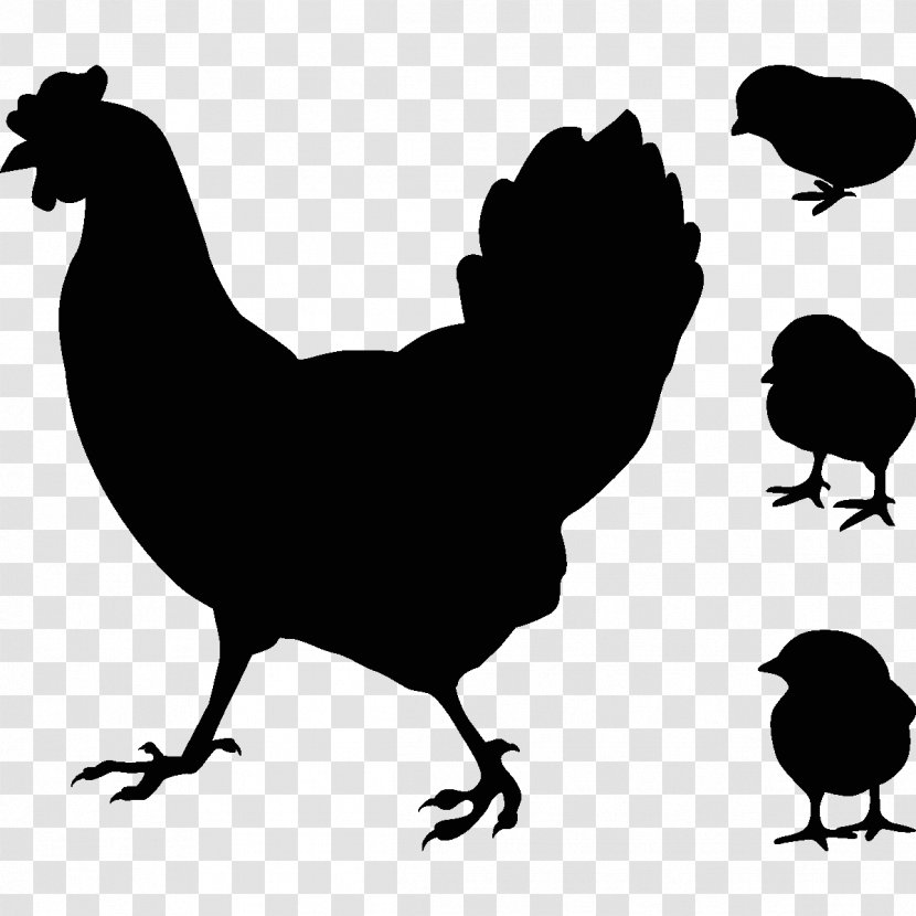 Rooster Chicken As Food Hen Coucou De Rennes - Fauna Transparent PNG