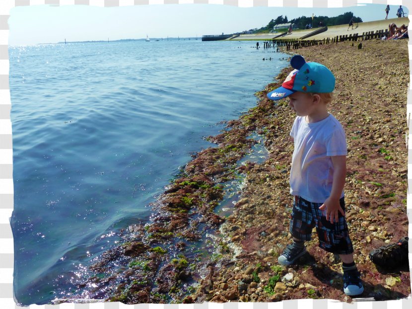 Shore Coast Cape May Promontory Water Resources - Recreation - Beach Transparent PNG