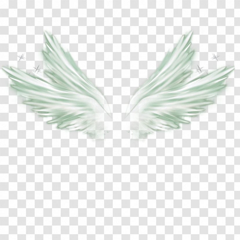 Wing Feather White - Wings Material Transparent PNG