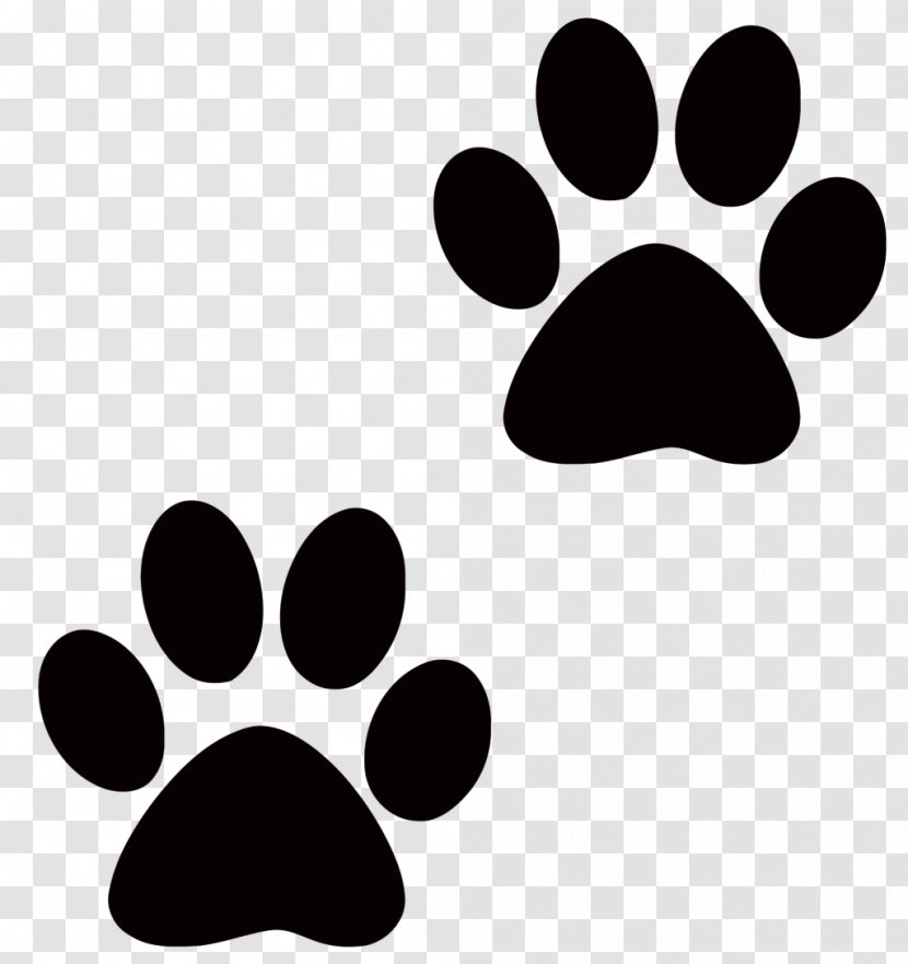 Dog Pet Sitting Puppy Cat Paw - Inspiration Background Cliparts Transparent PNG