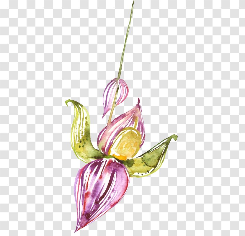 Watercolor Painting Flower - Still Life Photography - Lily Transparent PNG