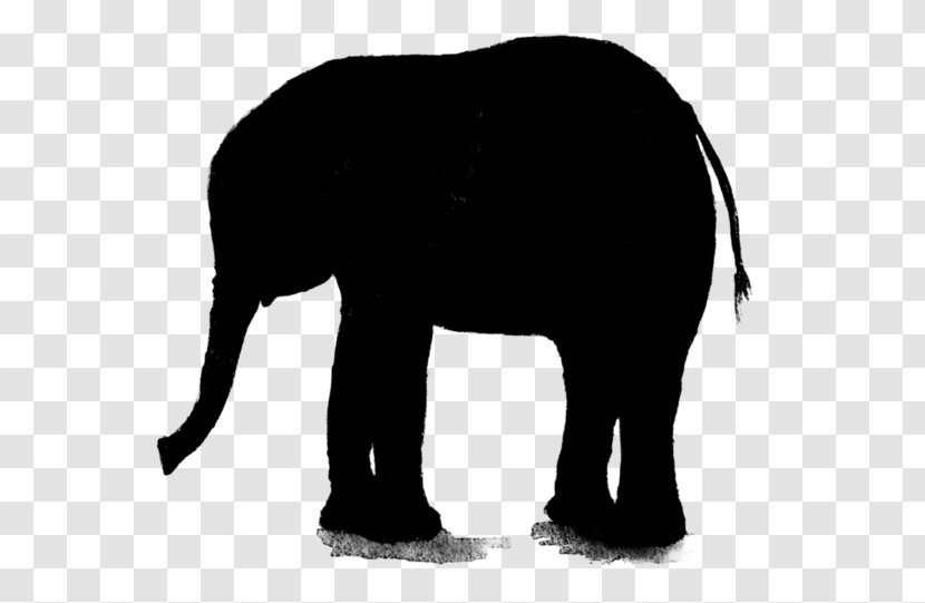 Indian Elephant African Royalty-free Vector Graphics Illustration - Snout - Tapir Transparent PNG