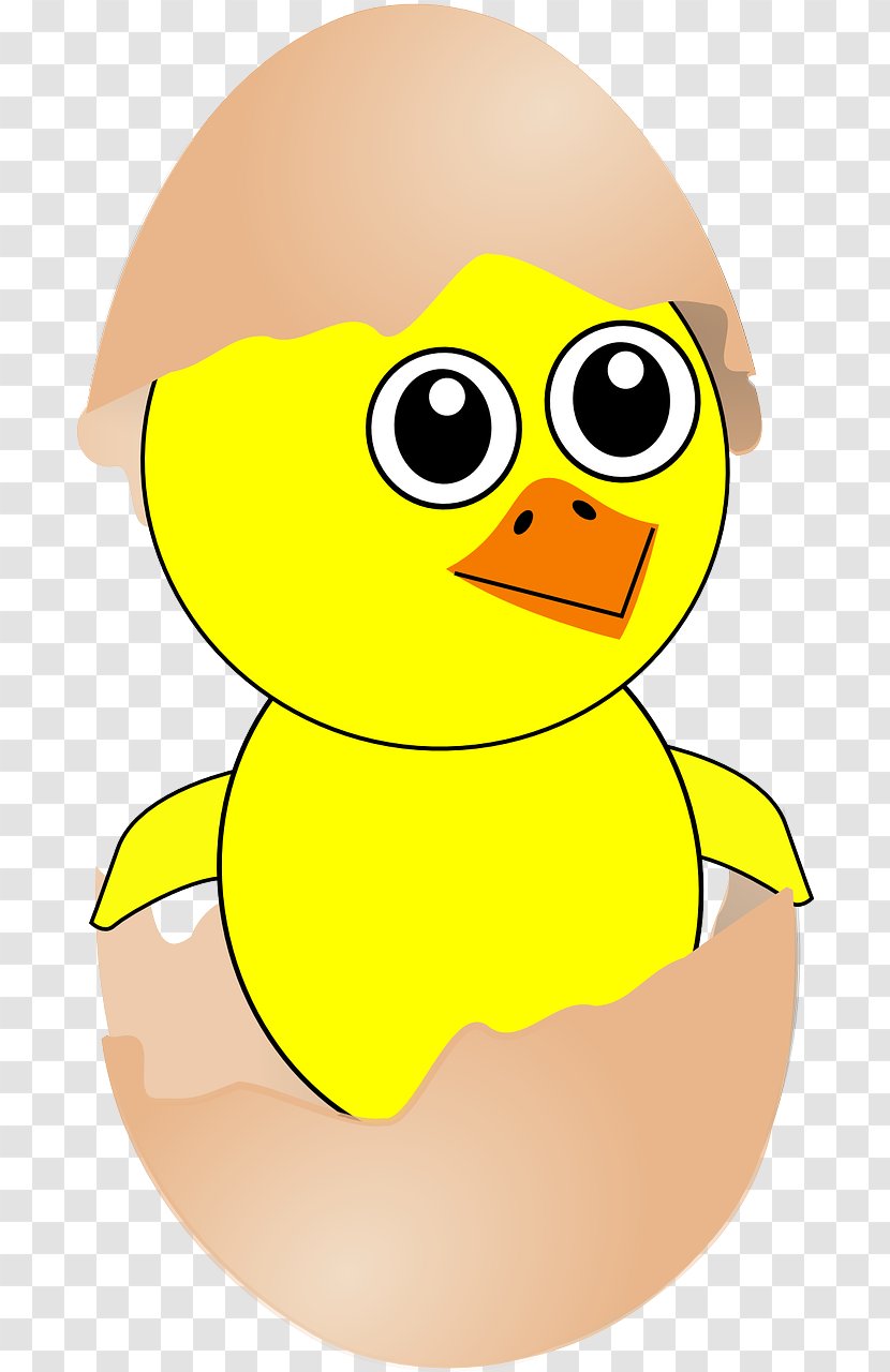 Chicken Cartoon Easter Clip Art - Water Bird - Chick Transparent PNG