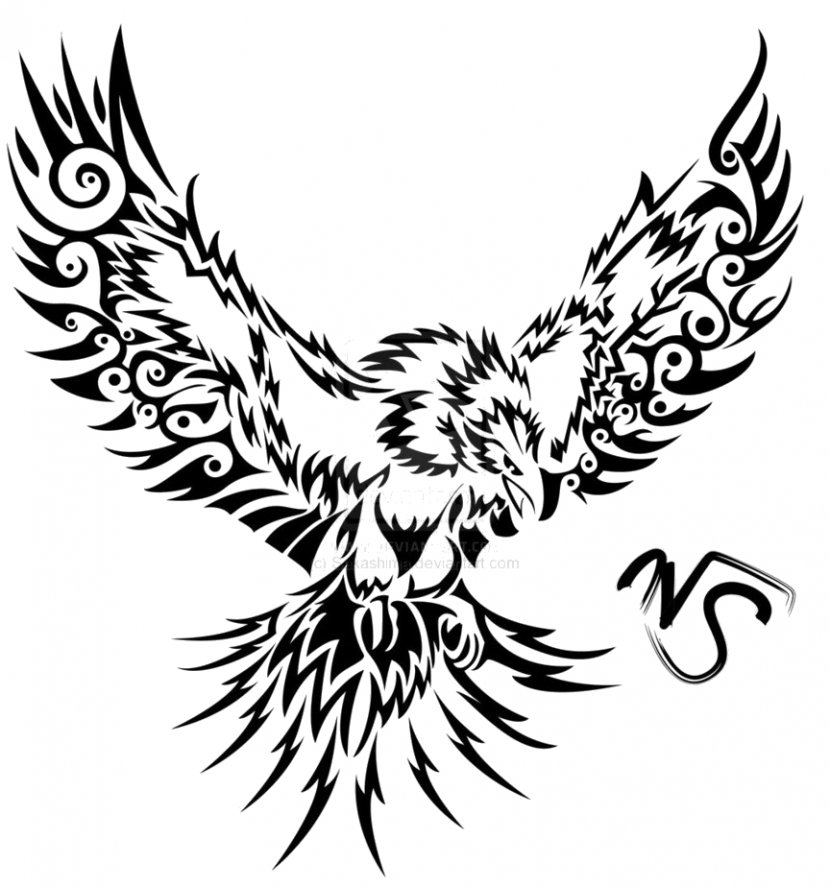 Phoenix Tattoo Art Drawing - Wildlife Transparent PNG