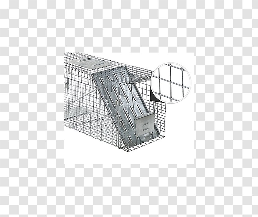 Raccoon Trapping Cage Squirrel - Grease Trap - Mouse Transparent PNG