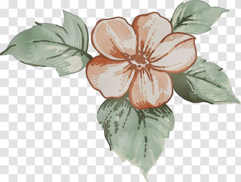 Flower Petal Plant Leaf Hawaiian Hibiscus Transparent PNG