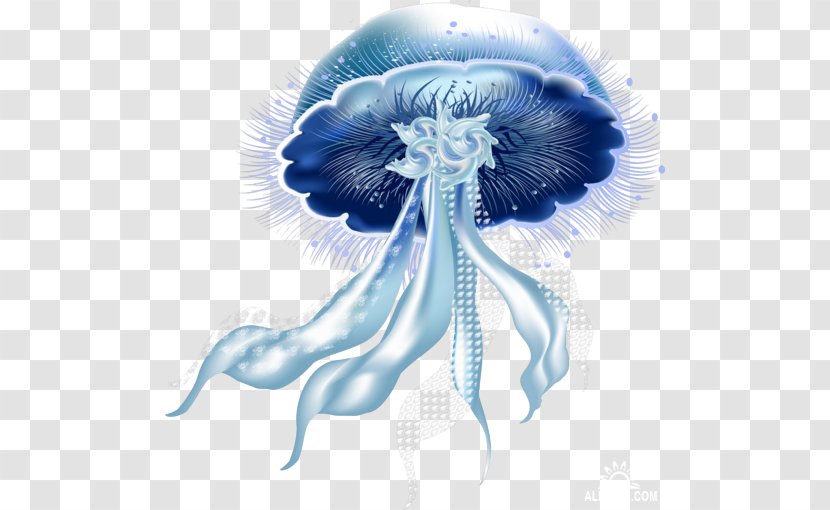 Jellyfish Sea Marine Biology - Silhouette Transparent PNG