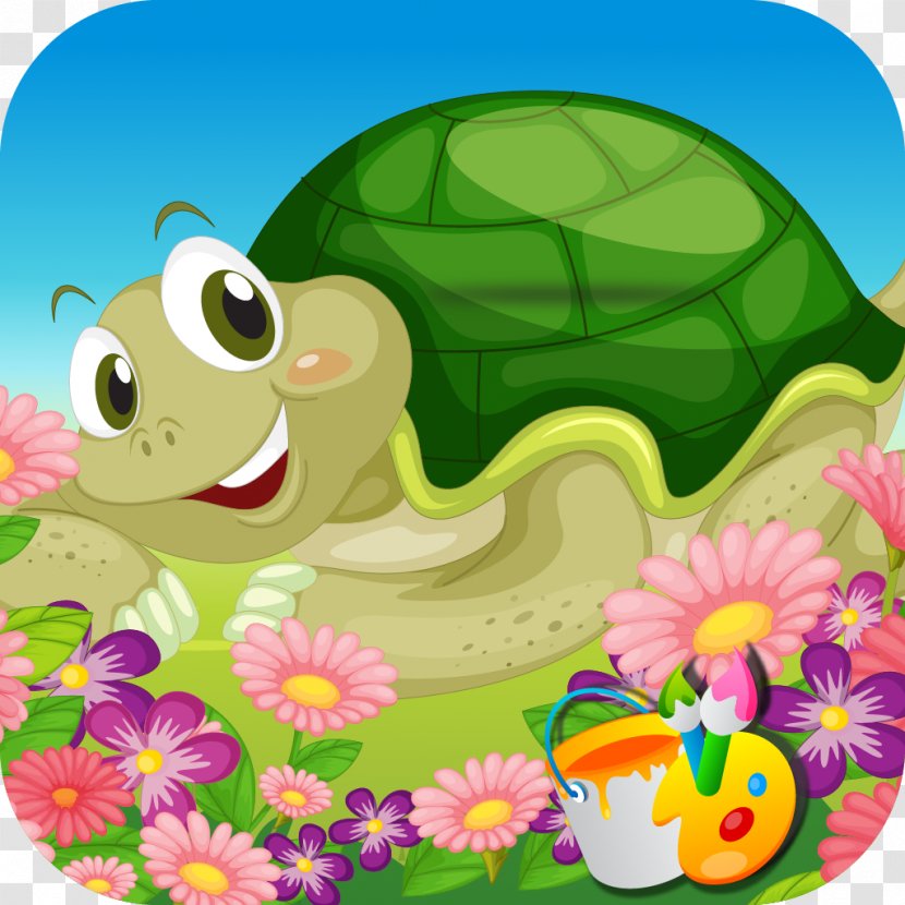 Turtle Photography - Reptile Transparent PNG