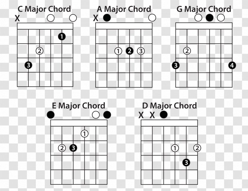 Guitar Chord Power Open - Flower - Vector Transparent PNG