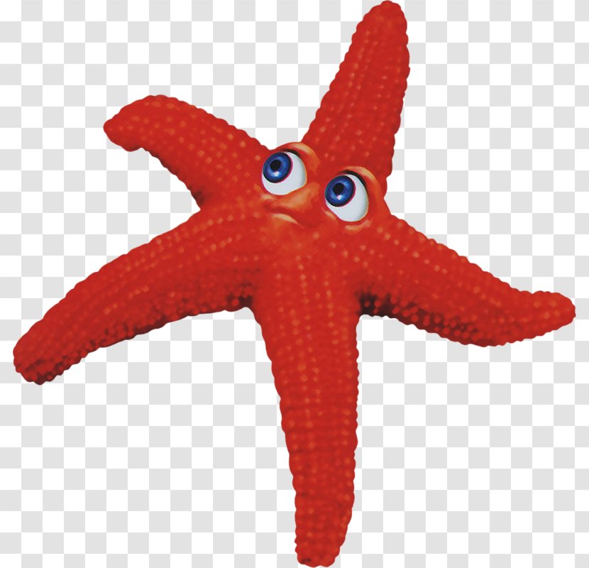 Starfish Euclidean Vector - Vecteur - A Transparent PNG