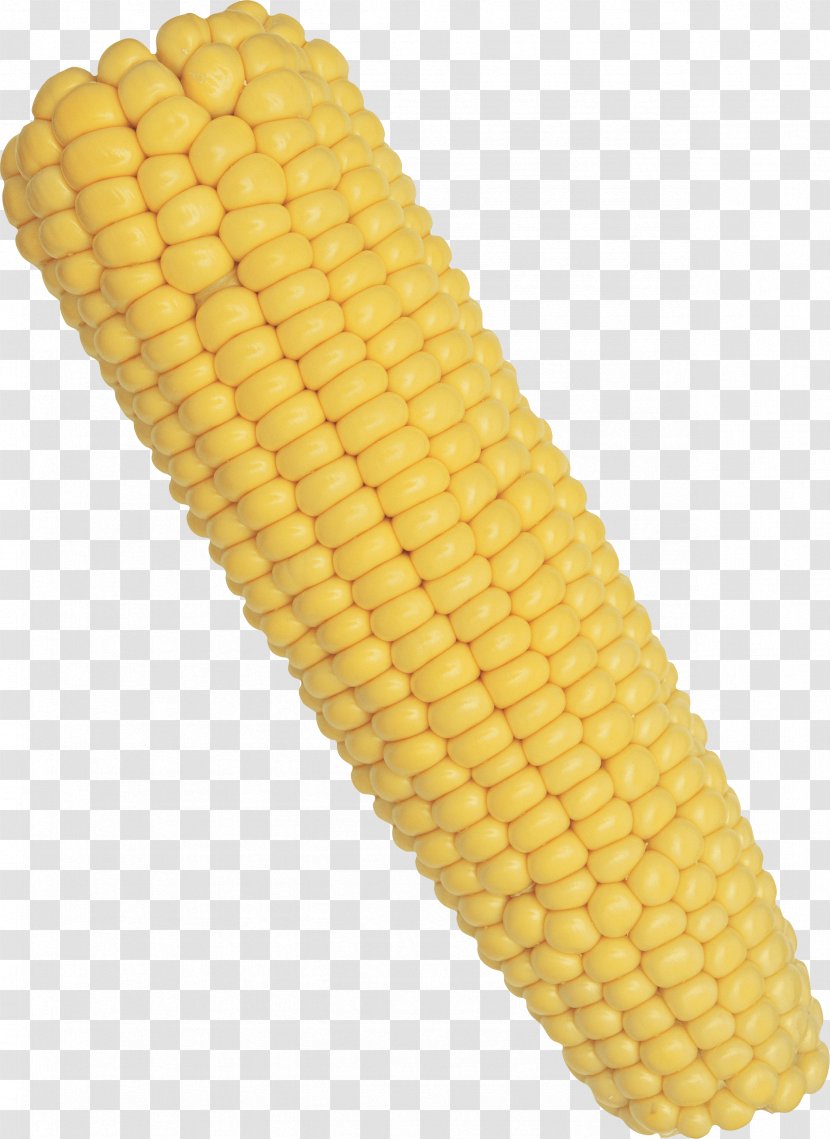 Corn On The Cob Maize - Sweet - Image Transparent PNG