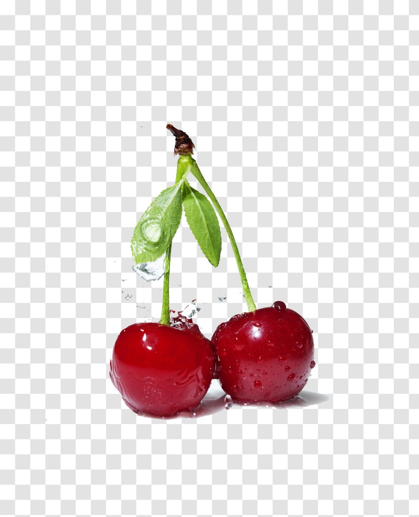 Peach Cherry Fruit - Rosaceae Transparent PNG