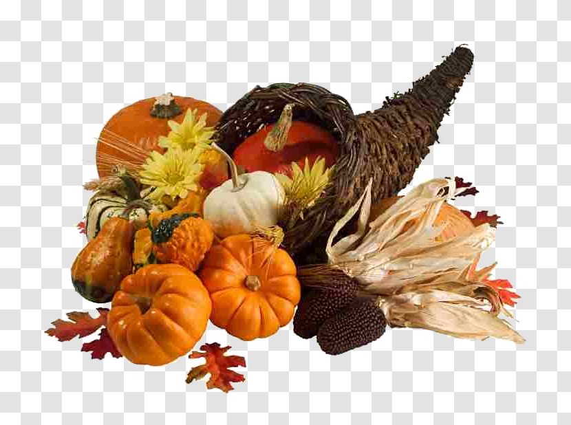 Thanksgiving Day Public Holiday Plymouth - Neuroacupuncture Institute Transparent PNG