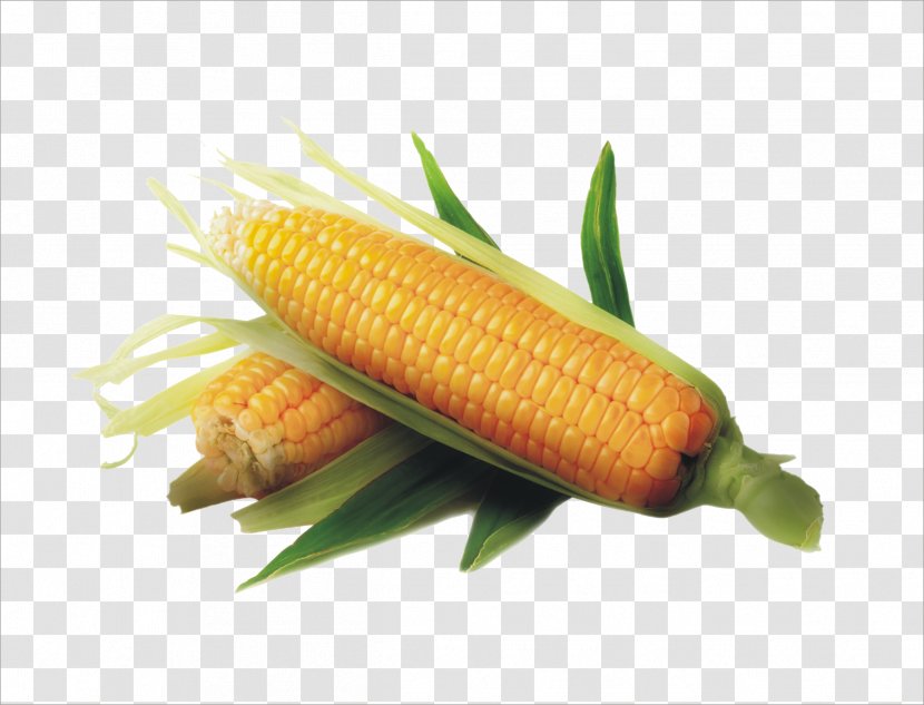 Maize Sweet Corn Kernel Field Vegetable - Sugar Transparent PNG