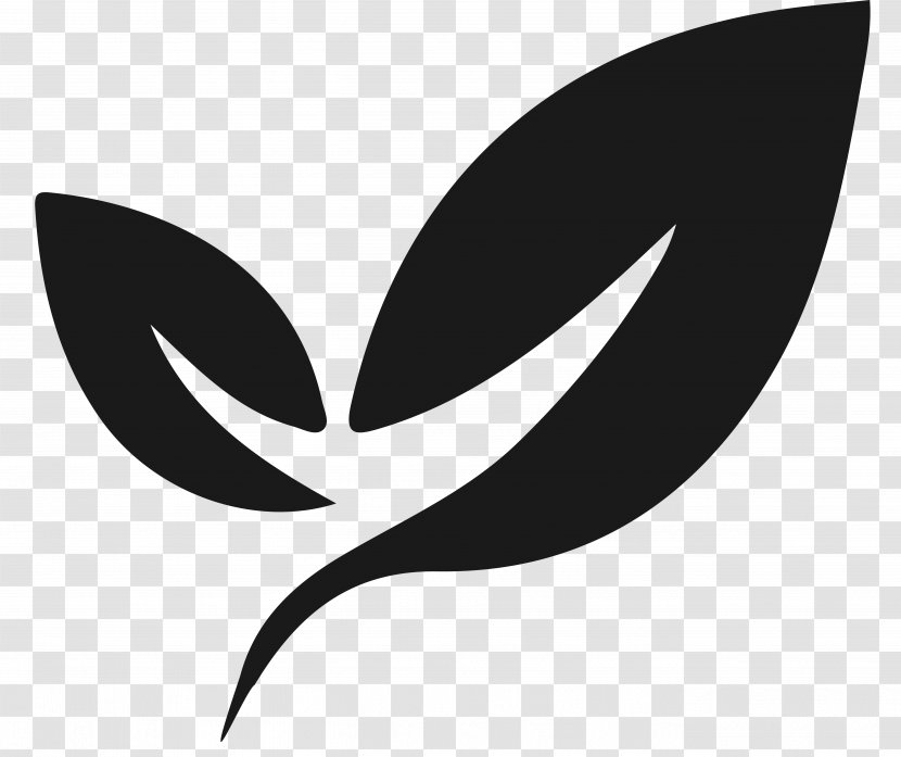 Logo Leaf Drawing Emblem - Wing Transparent PNG