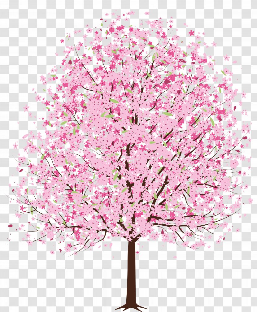 Cherry Blossom Tree Clip Art - Spring - Pink Deco Clipart Transparent PNG