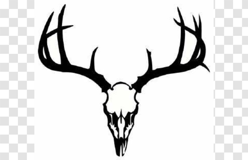 White-tailed Deer Tattoo Skull Clip Art - Seneca White - Free Pictures Transparent PNG