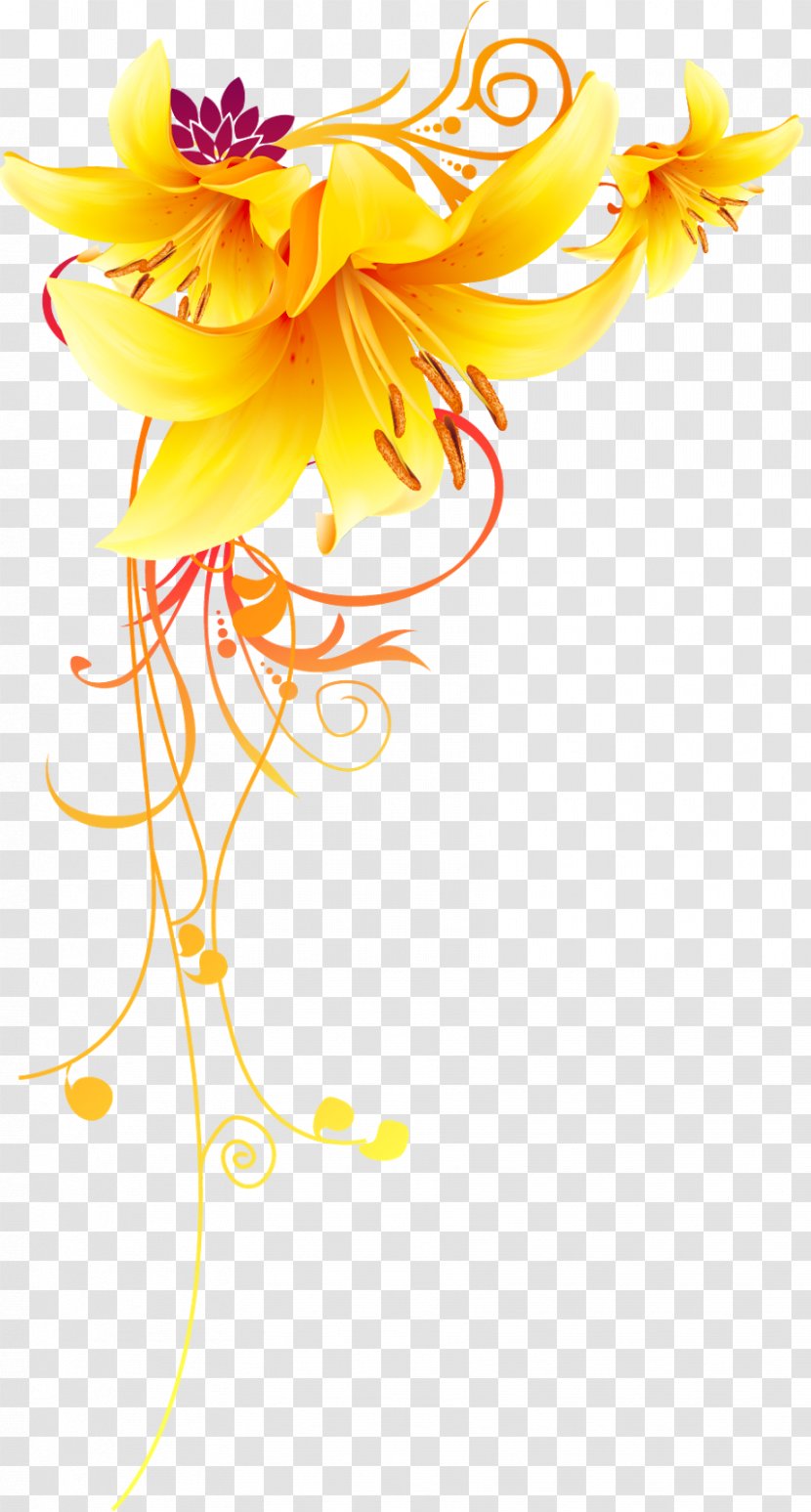 Flower Clip Art - Lily Transparent PNG
