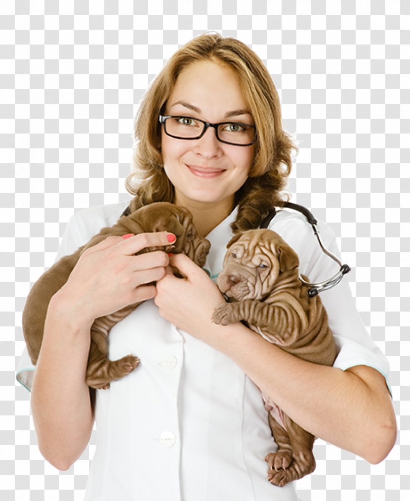 Shar Pei Puppy Cat Kitten Veterinarian - Finger - Veterinary Transparent PNG