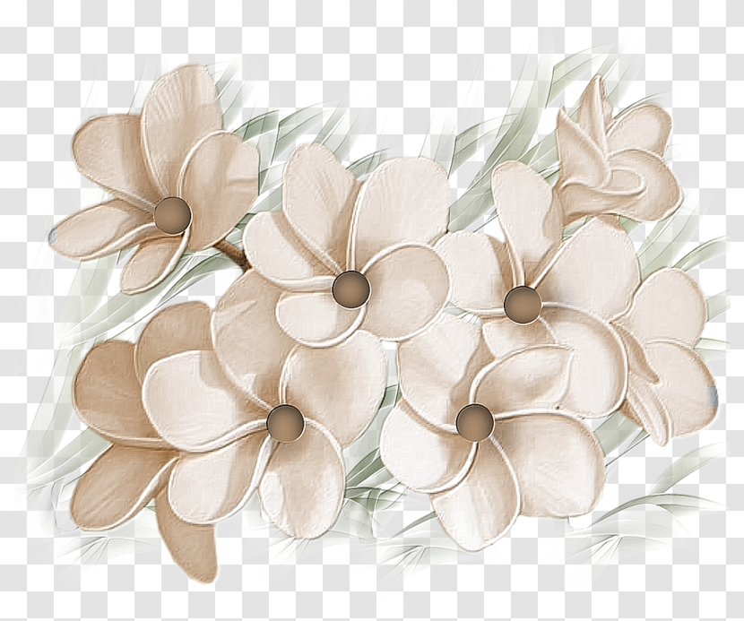 Flower - Colored Pencil - Color Transparent PNG