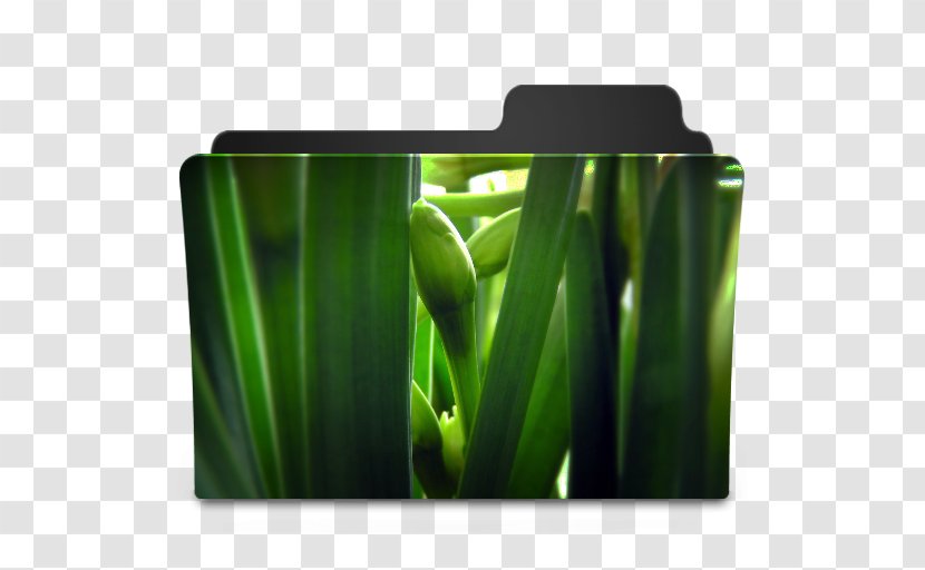 Desktop Wallpaper Directory Leaf Icon - Metaphor - Green Flower Transparent PNG