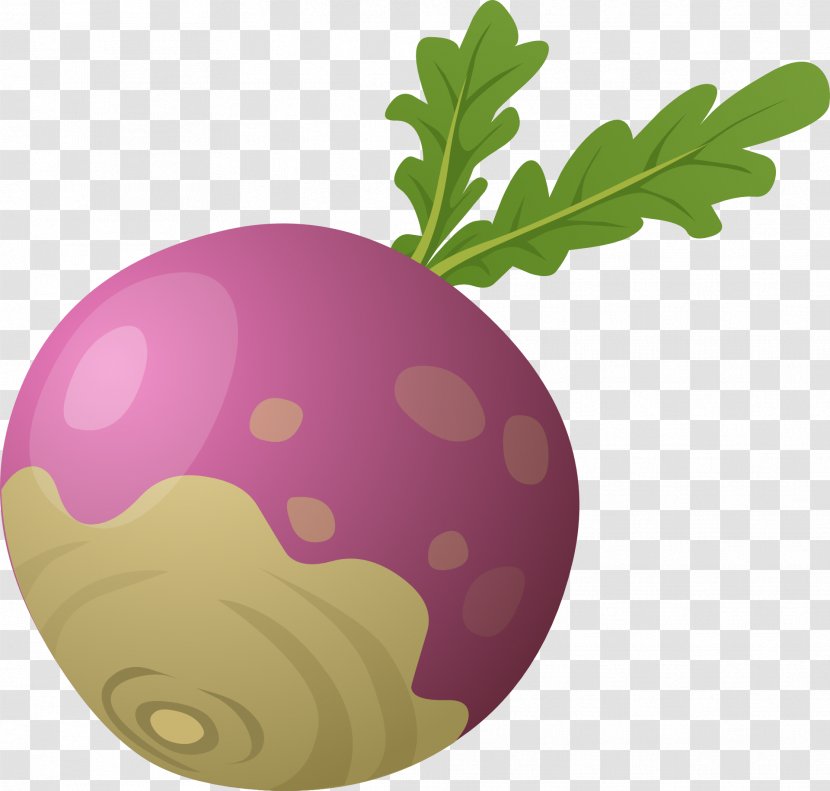 The Gigantic Turnip Vegetable Clip Art - Public Domain - Beet Transparent PNG