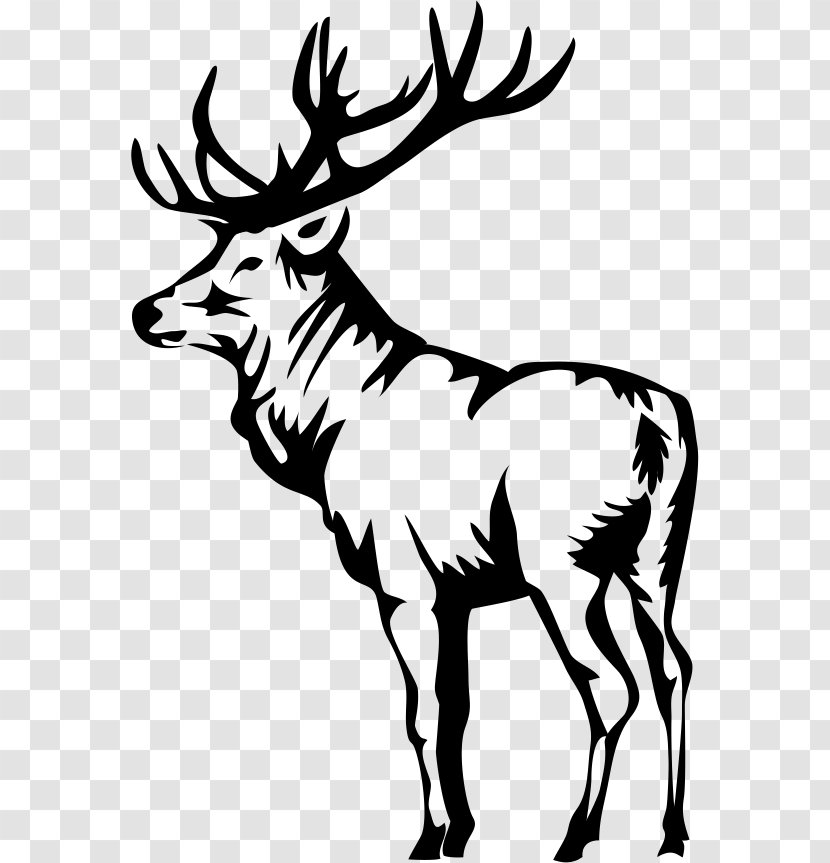 Elk Deer Clip Art - Reindeer Transparent PNG