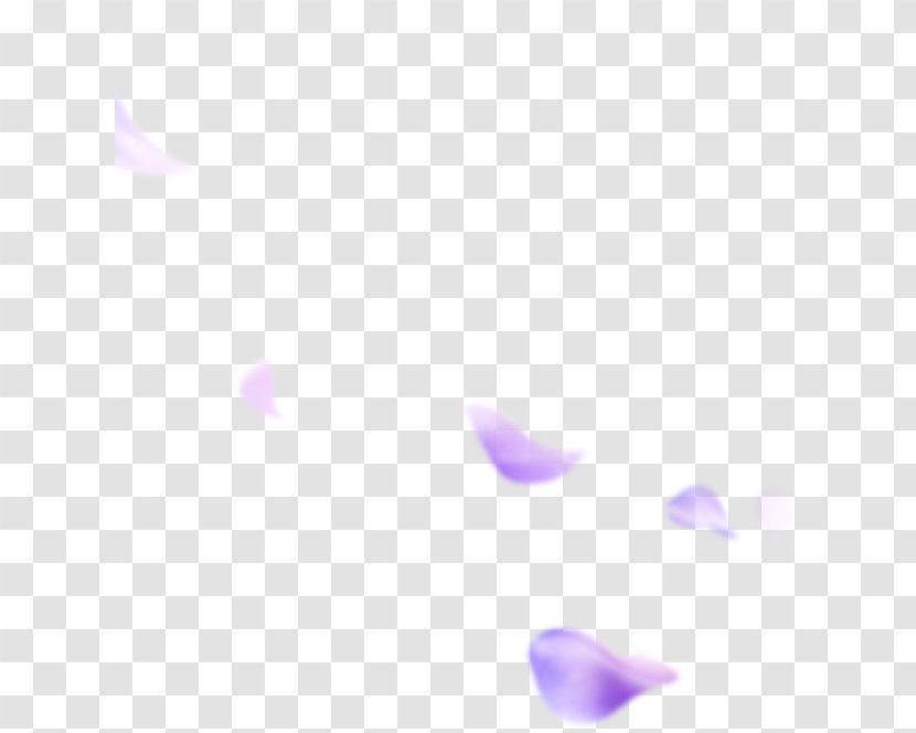 Purple Lilac Petal Lavender - Texture - Petals Falling Transparent PNG
