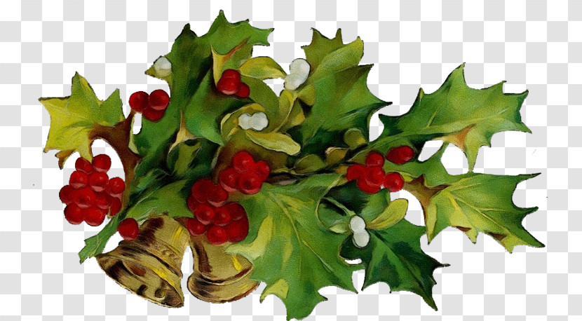 Holly Transparent PNG