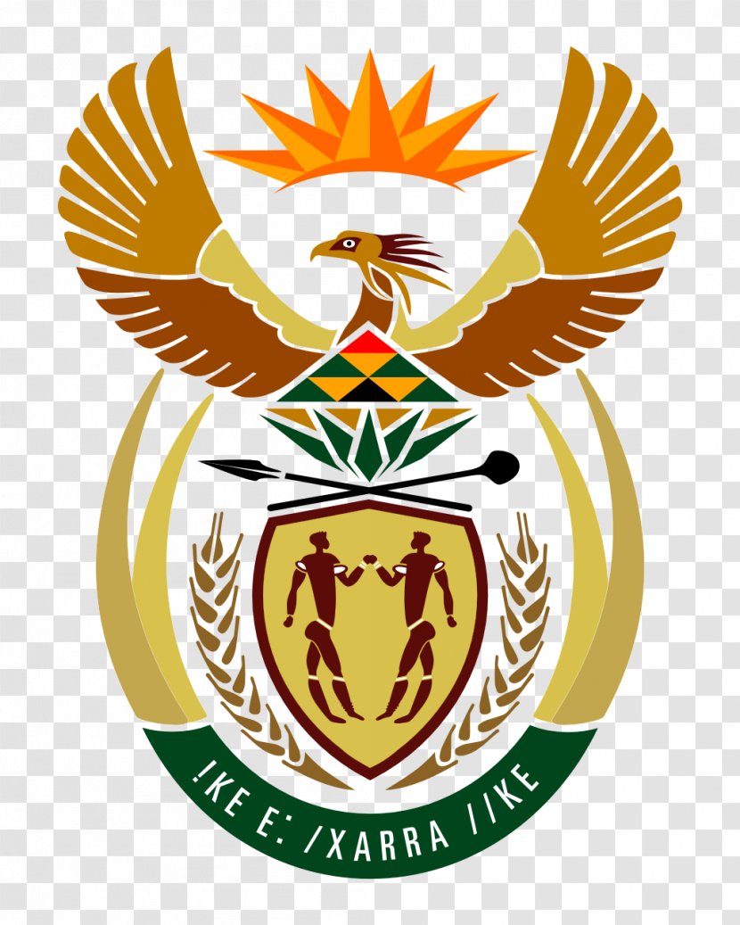 Coat Of Arms South Africa National Flag - Logo - Symbol Transparent PNG