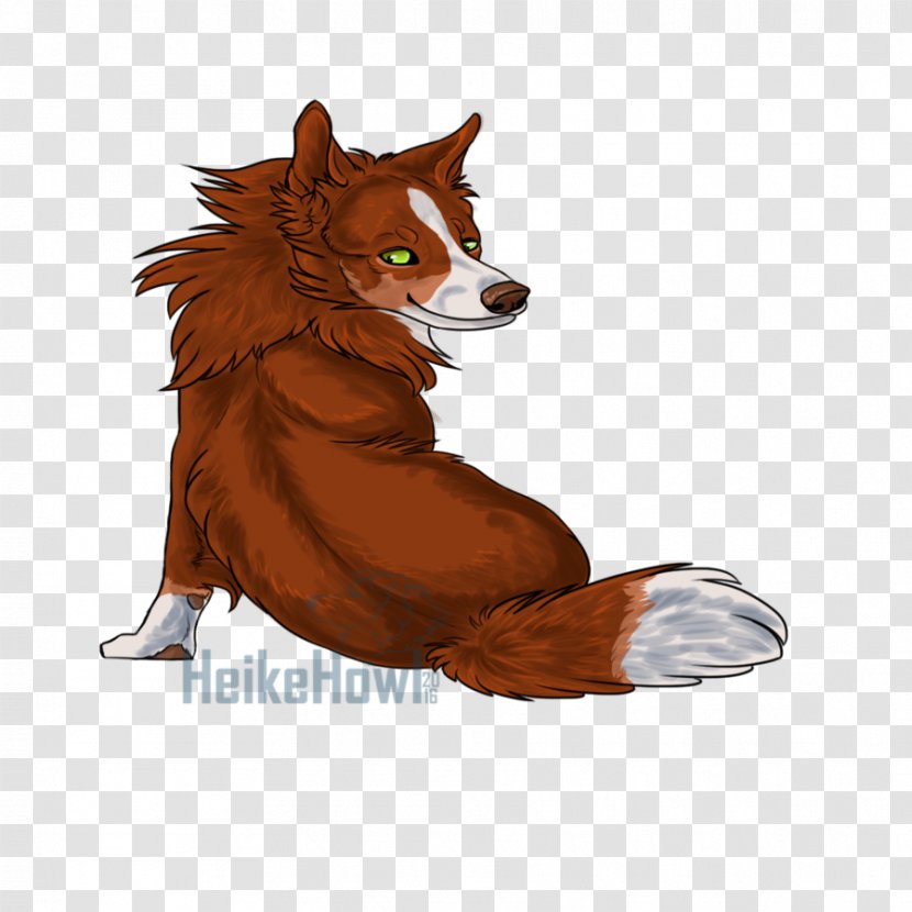 Red Fox Fur Snout Vulpini Tail - Border Collie Transparent PNG