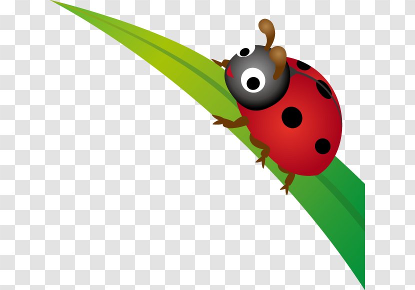 Beetle Leaf Lady Bird Transparent PNG