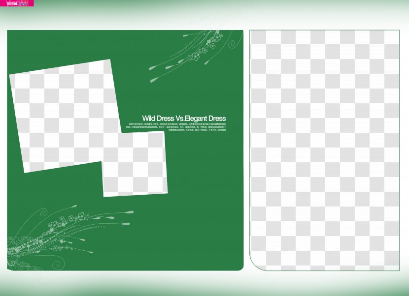 Brand Rectangle Green - Text - Wedding Pictures Transparent PNG