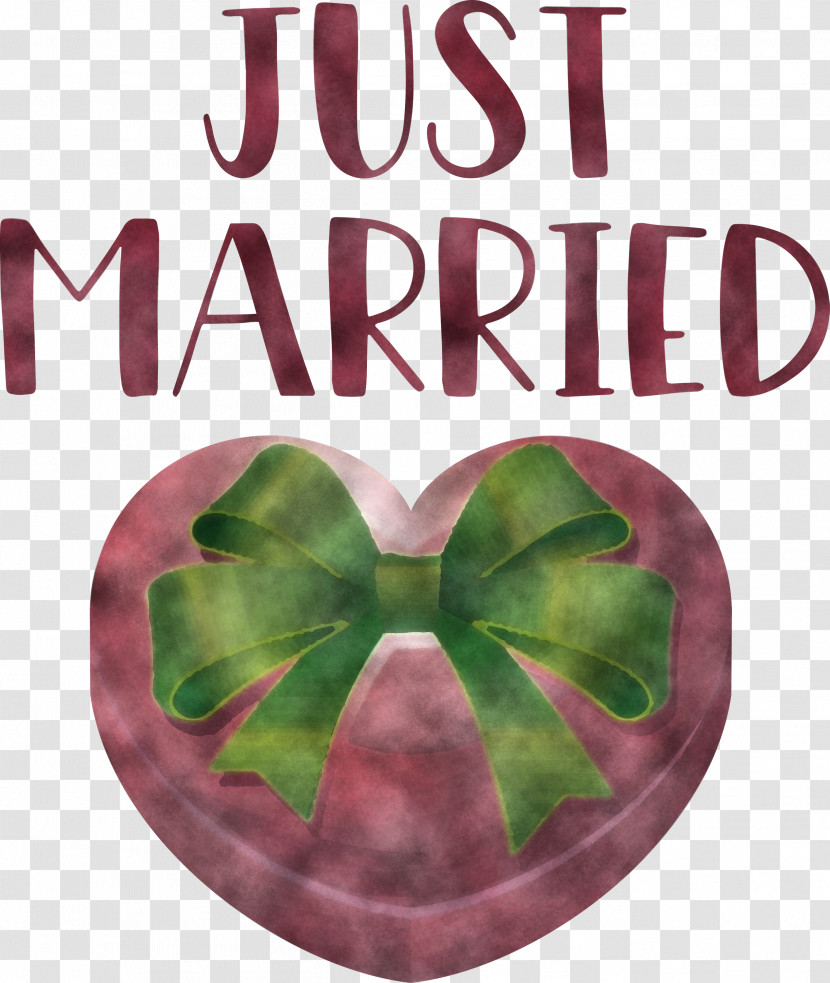 Just Married Wedding Transparent PNG