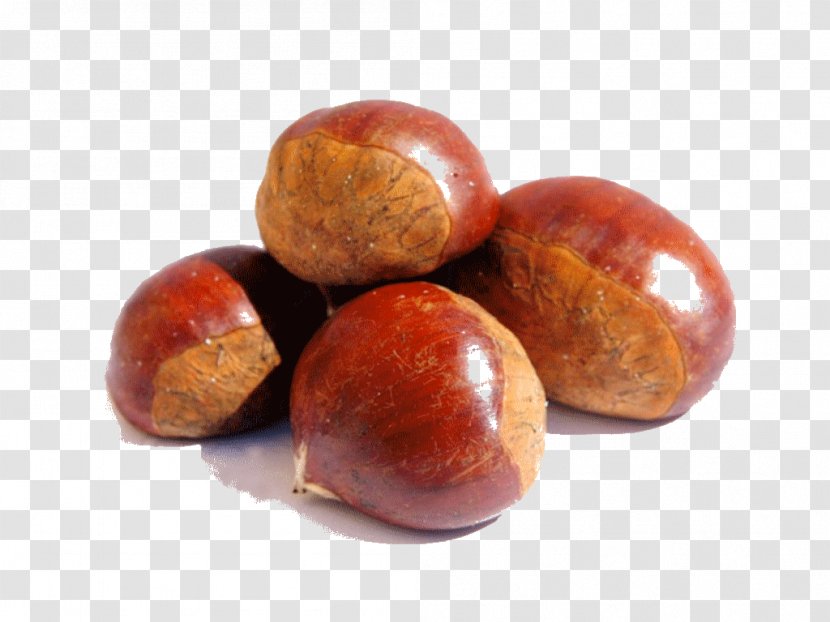 Chinese Chestnut Dried Fruit Food American Boletus - Ingredient Transparent PNG