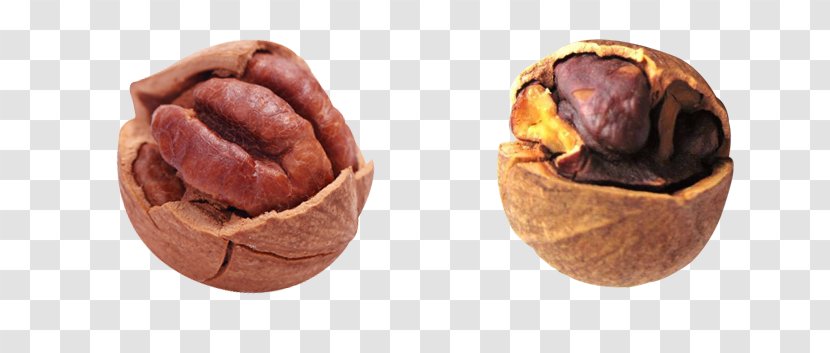 Walnut Contrast Goods - Superfood - Compare Transparent PNG
