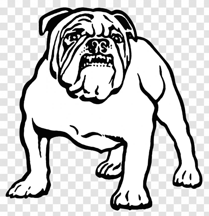 Canterbury-Bankstown Bulldogs National Rugby League City Of Bankstown - Darryl Brohman - Bulldog Transparent PNG