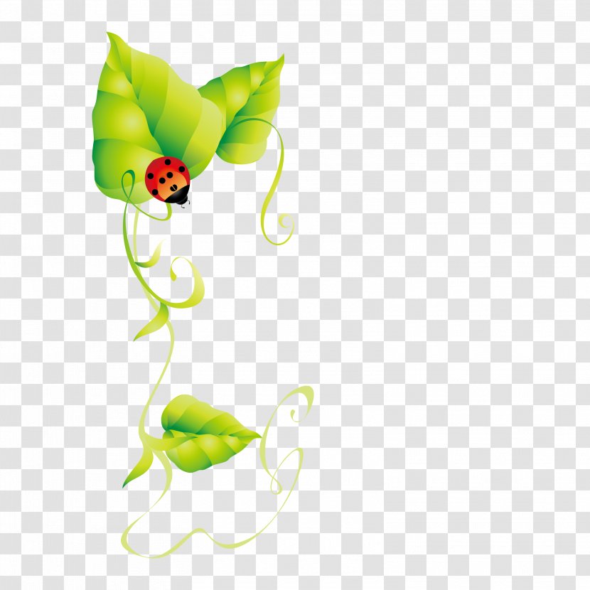 Chroma Key Leaf Fundal Euclidean Vector - Yellow - Ladybug Green Background Material Transparent PNG