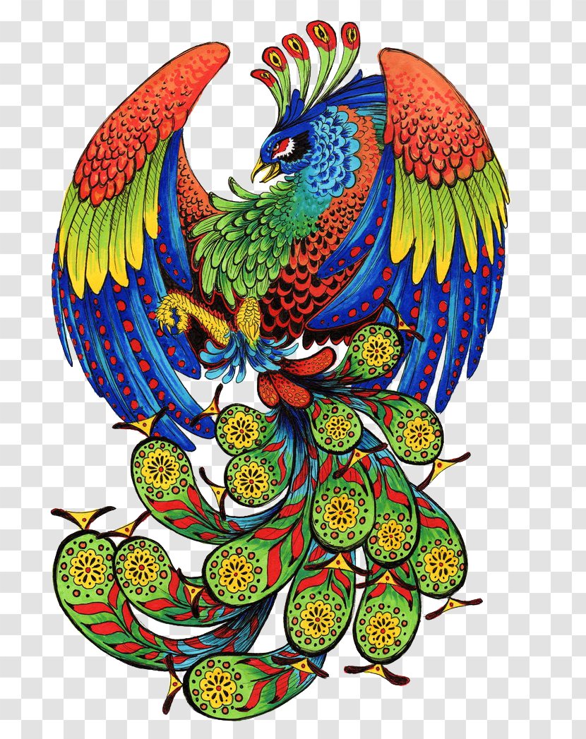 Peacock - Illustration - Bird Transparent PNG
