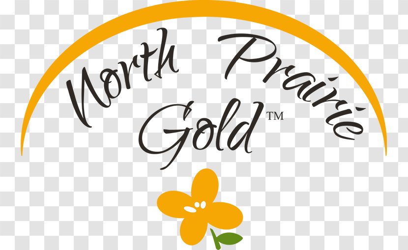 Logo Brand North Prairie Flower Font Transparent PNG