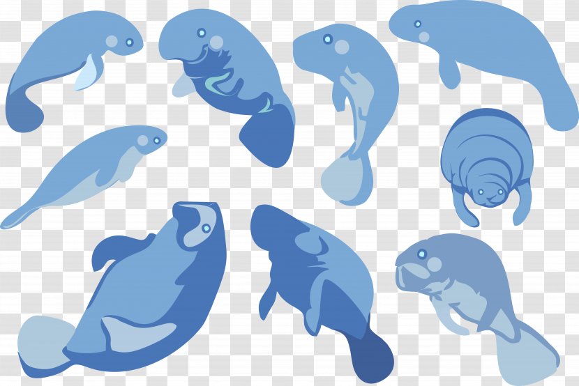 Dolphin Sea Cows Clip Art - Mammal - Blue Seal Transparent PNG