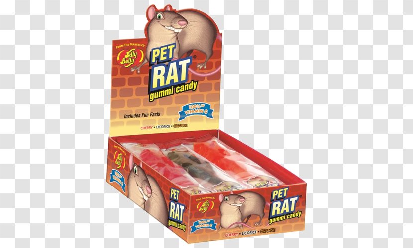 Gummi Candy Rat Jelly Bean The Belly Company Transparent PNG
